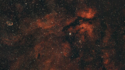γ-Cygni Nebula - SV535 APO - SV705C (IMX585)